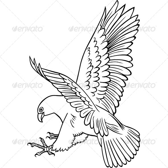 Attacking Eagle - Animals Characters