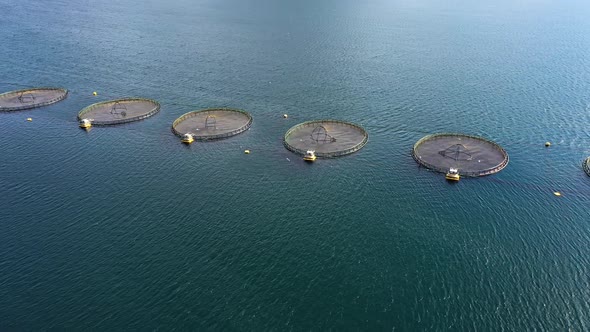 Farm Salmon Fishing in Norway alt