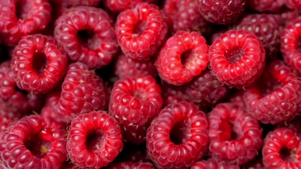 Close Up Rotation Loopable Berry. Fresh, Juicy Raspberry Background, Ripe alt