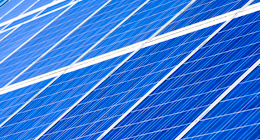 Ecology and environment