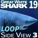 Shark 19 Side View - VideoHive Item for Sale