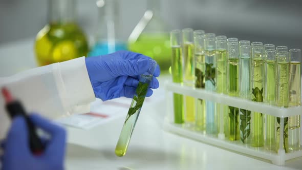 Biologist Marking Tube With Plant in Preservation Liquid, Influence on Nature alt