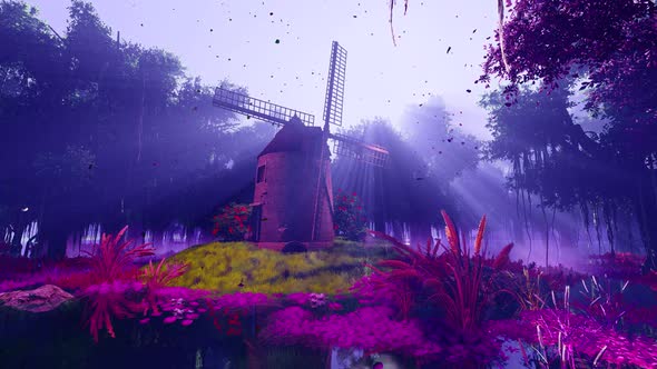 Mill and fairy forest