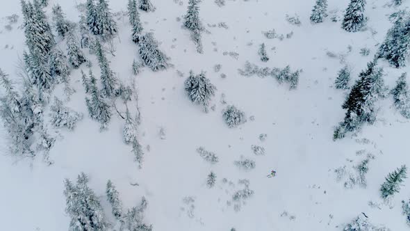 Skiing Downhill Aerial