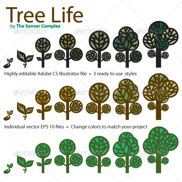 Tree Life - Nature Conceptual