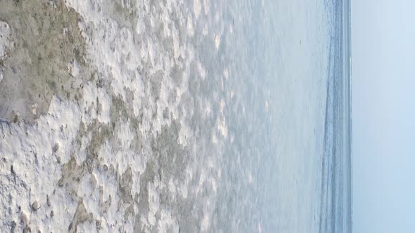 Zanzibar Tanzania  Vertical Video of Low Tide in the Ocean Near the Coast Slow Motion alt