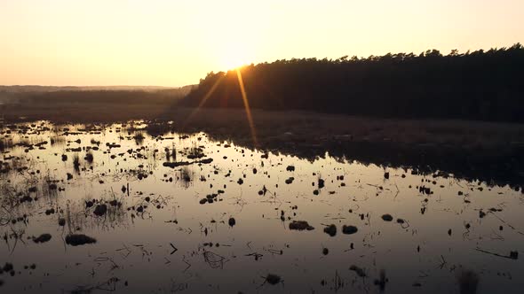 Sunset On Wild Swamp