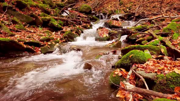 Footage of Wonderful Mountain Stream in the Shypit Karpat National Park alt