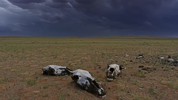 Skulls in Steppe and Storm Mammatus Clouds alt
