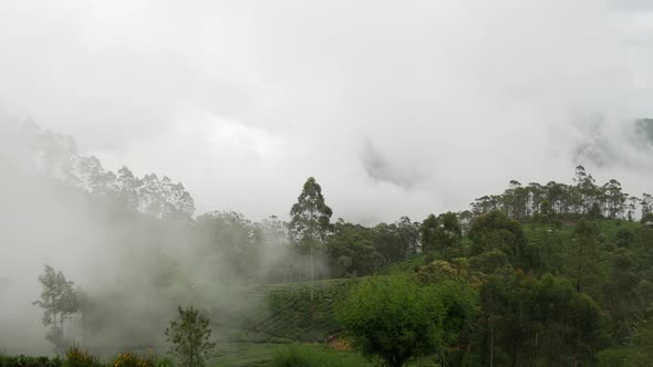 Time lapse cloudy moving over a tea plantations in Sri lanka alt