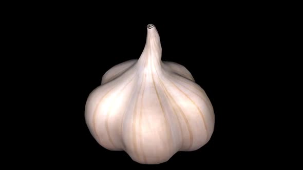 Animation of garlic on a black background