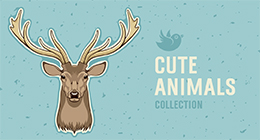 Cute Animals