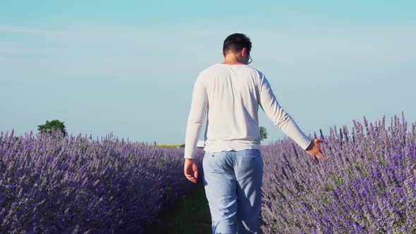 Rear View Of Man Walking And Touching Lavender Flowers In The Field - wide shot alt