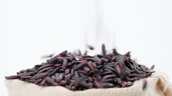 Slow motion of Black rice berry falling in bag, Close up.
