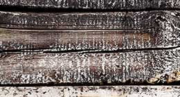 Responsive one page WP themes