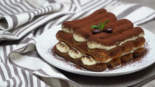 Classic Tiramisu Dessert and Savoiardi Cookies on Ceramic Plate on Concrete Background alt