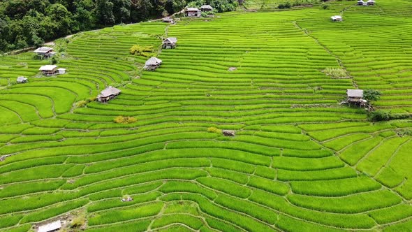 Aerial view of rice terraces field in northern of Thailand by drone