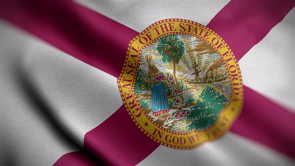 Florida State Flag Angle