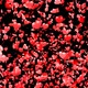 Hearts Explosion On Alpha - VideoHive Item for Sale