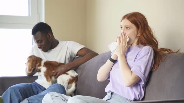 An AfricanAmerican Man is Petting a Dog and His Caucasian Wife is Sitting Next to Him and Sneezing