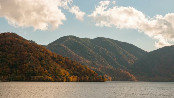 Nature In Autumn alt