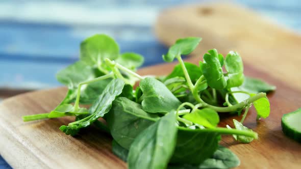 Fresh herbs and sliced cucumber on chopping board alt