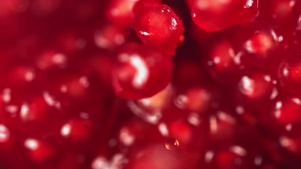 Pomegranate Grains Rolls Down on Surface of Broken Pomegranate in Slow Motion alt