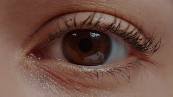 Woman with Brown Eye and Eyelashes Looking at Camera alt