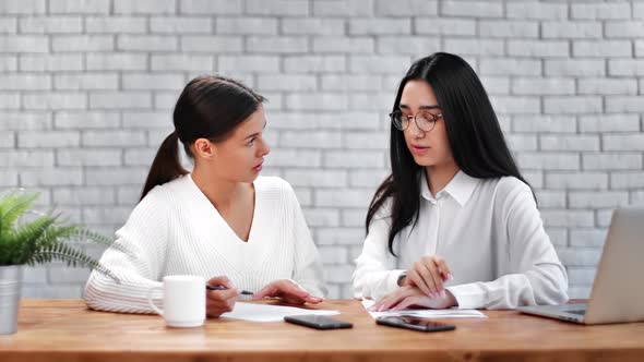 Businesswoman Explaining Strategy of Project to Female Employee alt