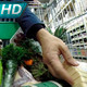 Shopping in the Supermarket - VideoHive Item for Sale