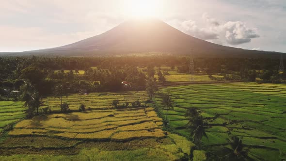 Aerial Green Rice Terrace Volcano Mountain in Sunset