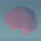 Brain Fog - VideoHive Item for Sale