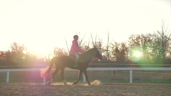 Rider Rides His Horse at Sunset . Woman Rider Learns To Ride a Horse in the Evening on a Blue Sky alt