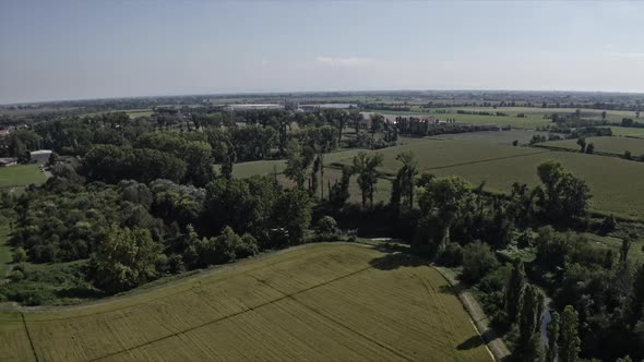 Aerial view on forest in italy