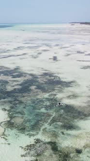 Vertical Video of Low Tide in the Ocean Near the Coast of Zanzibar Tanzania alt