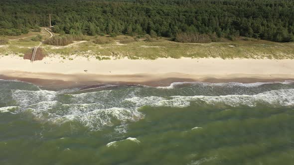 AERIAL: Pan Shot of Sandy Beach with Green Pine Forest in Background near Baltic Sea alt