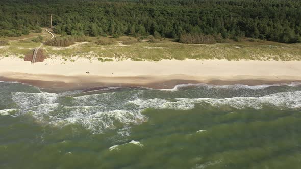 AERIAL: Pan Shot of Sandy Beach with Green Pine Forest in Background near Baltic Sea