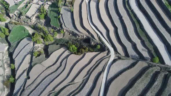 Aerial View of Terraced Farm Field Mass Production During Summer Dry Season alt