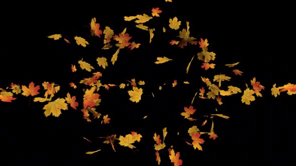 Maple Leaves Explosion alt