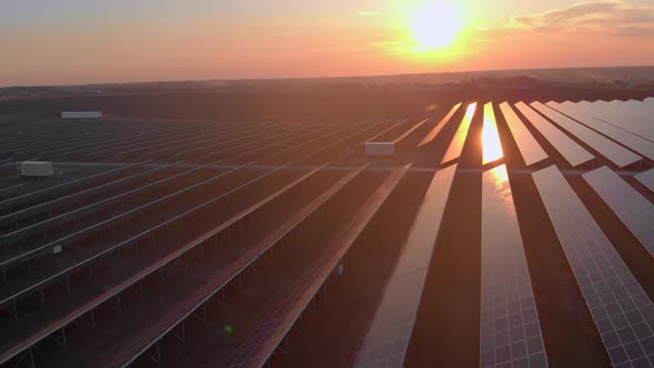Aerial Drone View Into Large Solar Panels at a Solar Farm at Bright Sunset. Solar Cell Power Plants alt