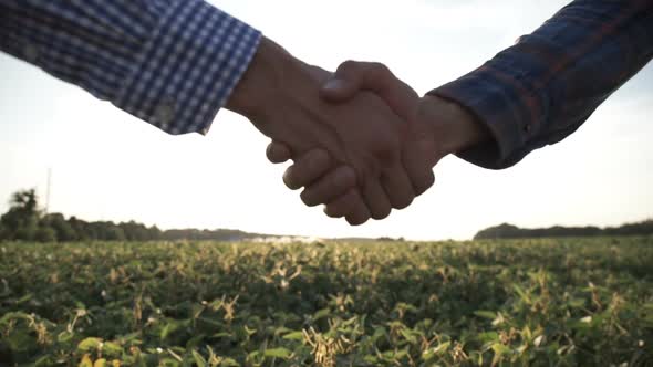 Two Businessman Farmers Shake Hands with Each Other Firmly