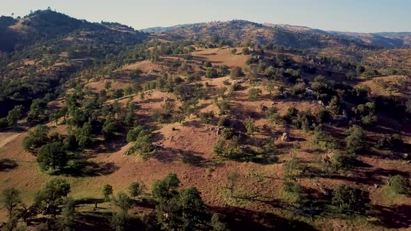 Brown foothill mountains covered in trees in Tehachapi, California, AERIAL PULL alt