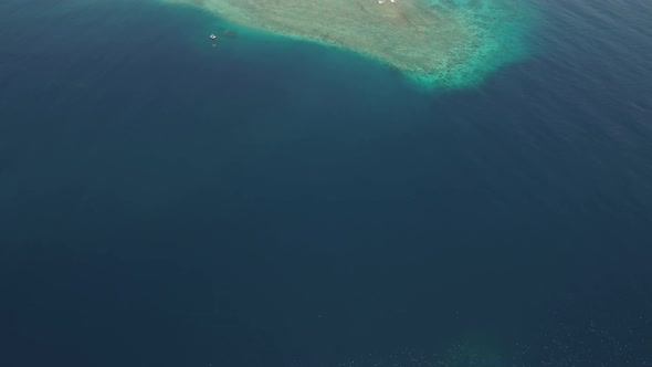 Seascape Coral Reef in Sea alt