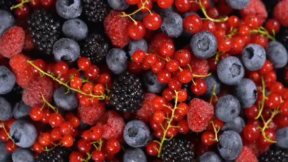 Fresh Raspberries, Blackberries, Redcurrant and Blueberries