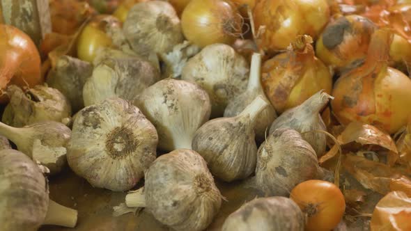 Fresh Eco Garlic and Raw Rustic Onion Bulbs