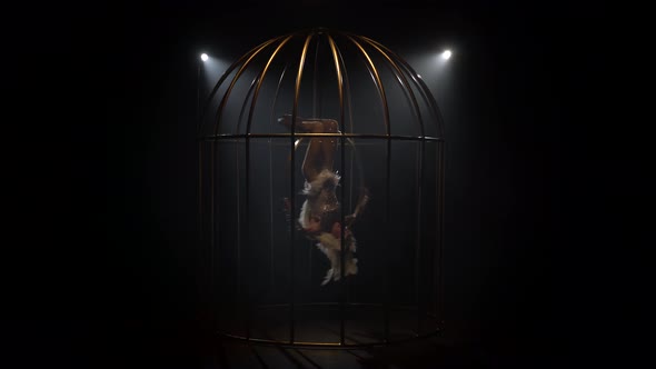 Gymnast Spinning on a Hoop in a Gold Cage alt