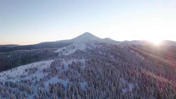 Drone Rising Above Forest Hill Revealing Mountain Top at Sunrise