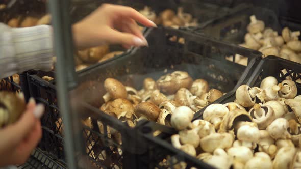 Woman Taking Mushrooms From Box