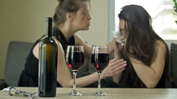 Two Girlfriends are Drinking Wine