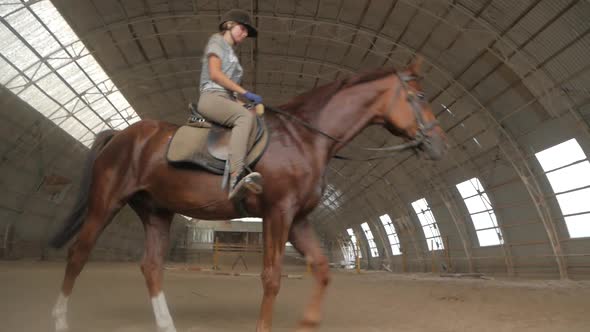 A girl trains a horse in an arena. Horse riding, horse racing, jumping alt